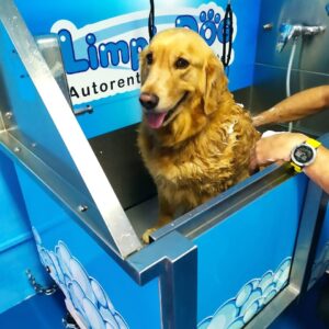 Autolavado de mascotas y Peluquería canina en Cornellá de Llobregat